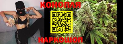сатива Будённовск
