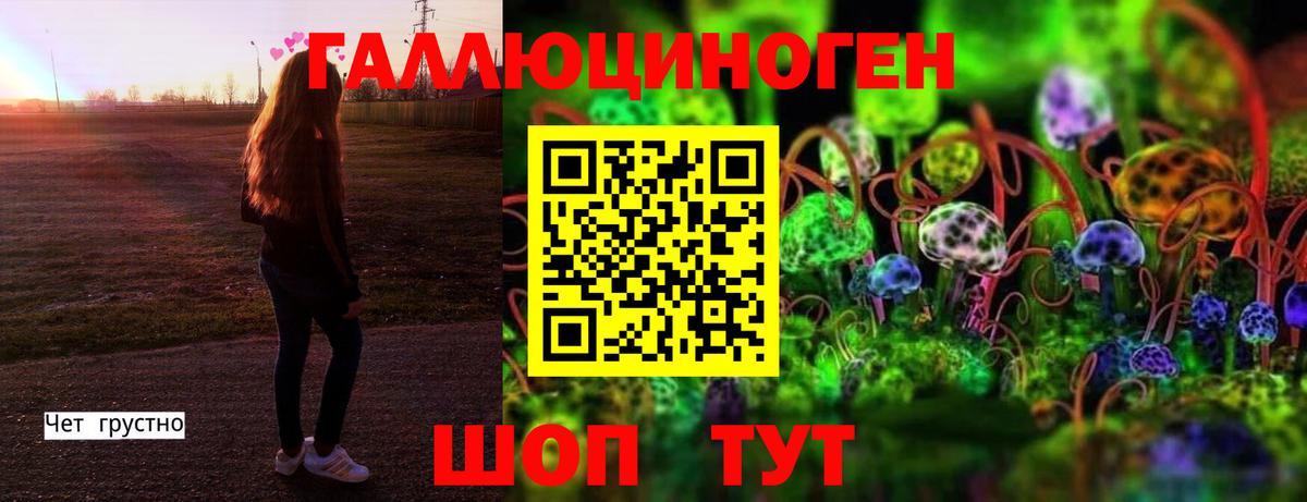 Тимашёвск  Псилоцибиновые грибы MAGIC MUSHROOMS  как найти   Вход с VPN 