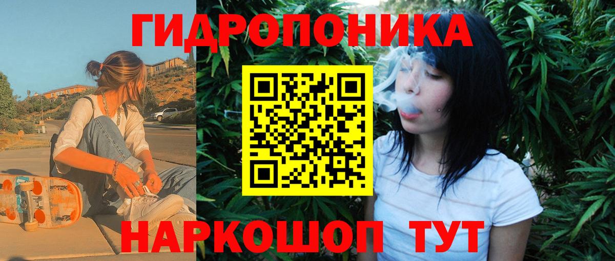 Шишки марихуана OG Kush Тимашёвск